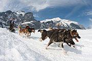 Kandersteg