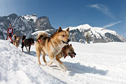 Kandersteg
