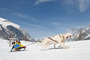 Kandersteg