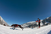 Lenk