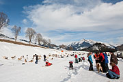 Transalp - Leysin