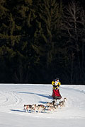 Transalp - Leysin