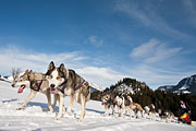 Transalp - Leysin