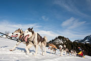 Transalp - Leysin