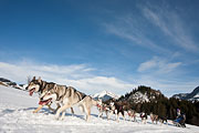 Transalp - Leysin