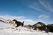 Transalp - Leysin