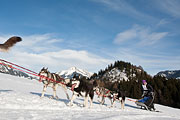 Transalp - Leysin