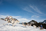 Transalp - Leysin