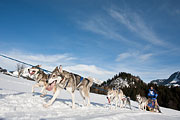 Transalp - Leysin