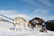 Transalp - Leysin