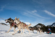 Transalp - Leysin