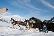 Transalp - Leysin