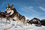 Transalp - Leysin