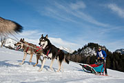 Transalp - Leysin