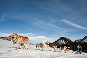 Transalp - Leysin