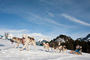 Transalp - Leysin