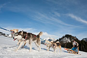 Transalp - Leysin