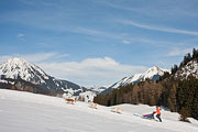 Transalp - Leysin