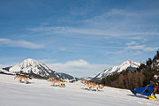 Transalp - Leysin