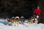 Transalp - Leysin