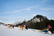 Transalp - Leysin