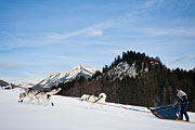 Transalp - Leysin