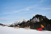 Transalp - Leysin