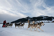 Transalp - Leysin