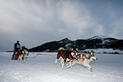 Transalp - Leysin