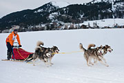 Transalp - Leysin