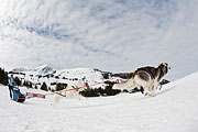 Transalp - Les Mosses