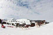 Transalp - Les Mosses