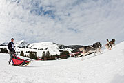 Transalp - Les Mosses