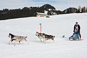 Transalp - Les Mosses