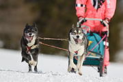 p-f.ch_100221_1323_0101_1D