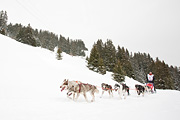 La Grande Odyssée 2010, Jo Are Brennodden