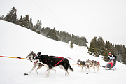 La Grande Odyssée 2010, Isabelle Travadon