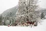 La Grande Odyssée 2010, Isabelle Travadon