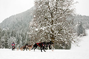 La Grande Odyssée 2010, Per Olav Gausereide