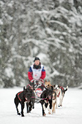 La Grande Odyssée 2010, Per Olav Gausereide