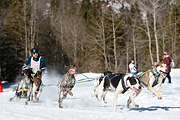 Kandersteg