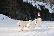 Kandersteg