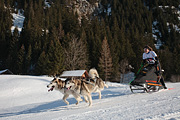 100123_1446_9594_5D