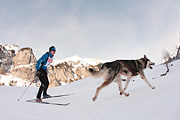 100124_1100_9648_5D