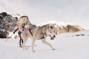 100124_1109_9660_5D