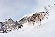 100124_1129_9681_5D