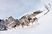 100124_1130_9683_5D