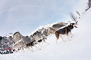 100124_1139_9696_5D
