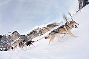 100124_1142_9701_5D
