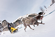 100124_1202_9717_5D